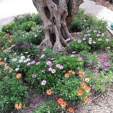 Sa Tanqueta De - Adults Only מלון דירות 4*