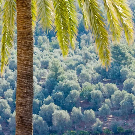 Lejlighedshotel Sa Tanqueta De - Adults Only Fornalutx
